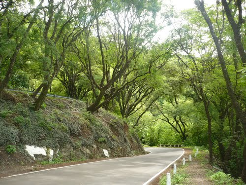 Cerro San Javier - Tucuman
