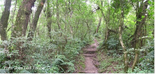 Cerro San Javier - Tucuman