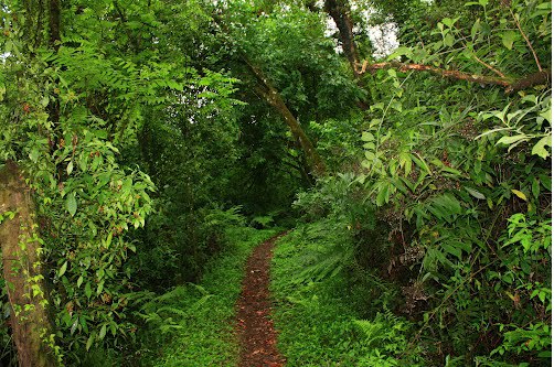 Cerro San Javier - Tucuman