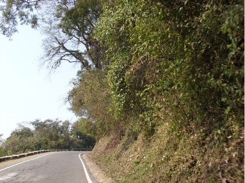 Cerro San Javier - Tucuman
